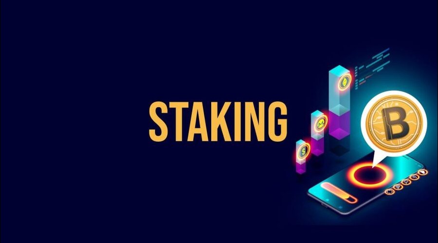 Choose a Reliable Staking Platform
